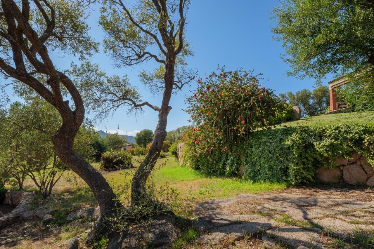 Villa Delle Aie Primo Piano Baja Sardinia Exterior photo